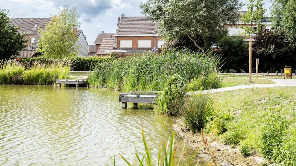 Bassin paysager avec roselières et pontons en bois dans un parc urbain entouré de maisons résidentielles