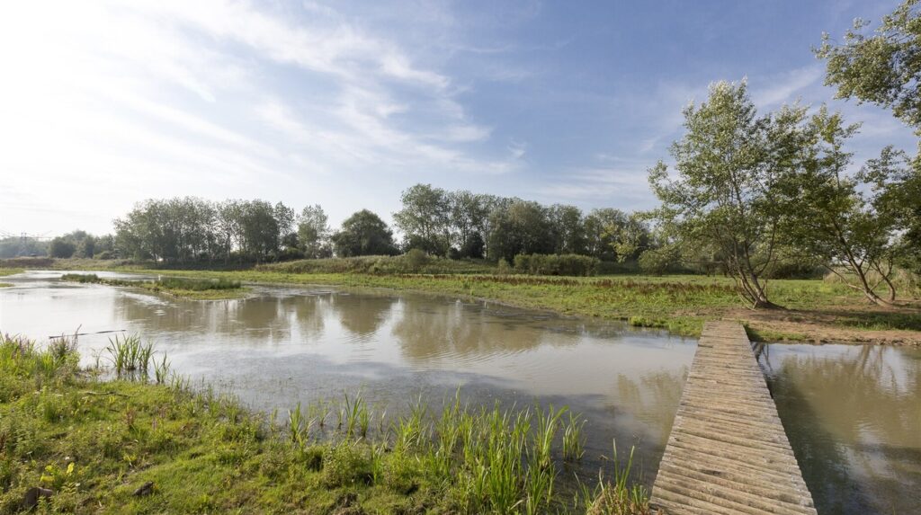 Bassin de rétention végétalisé bordé d'une passerelle en bois sous un ciel nuageux