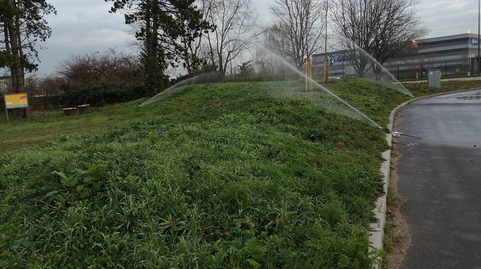 Arroseurs en fonctionnement sur un talus enherbé bordant une voie