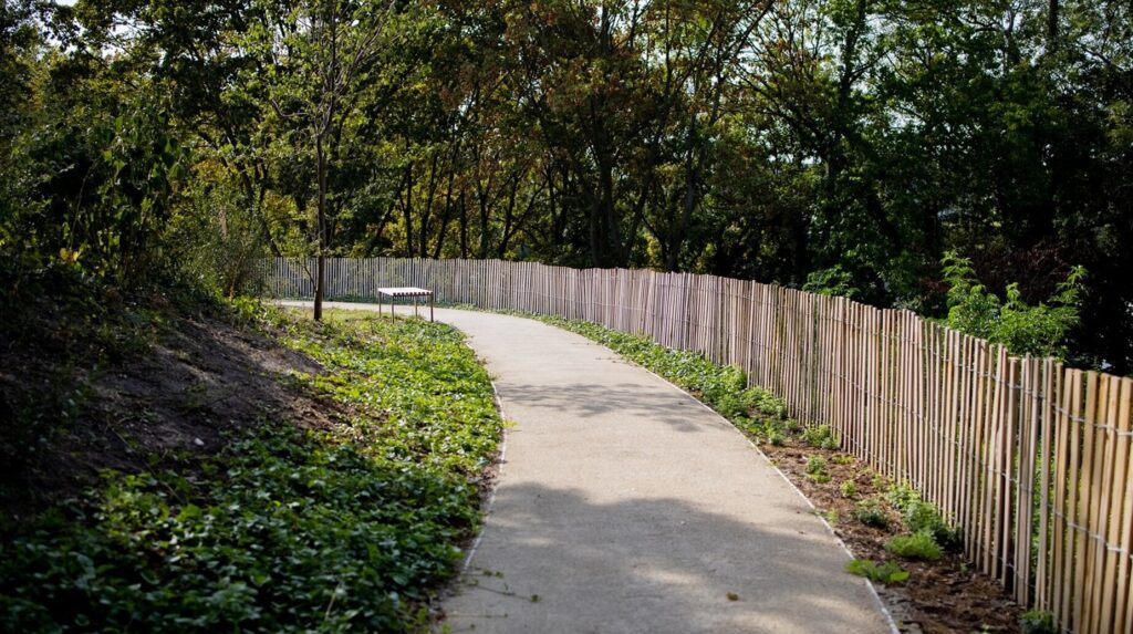 Allée piétonne sinueuse bordée d'une ganivelle en bois dans un parc boisé