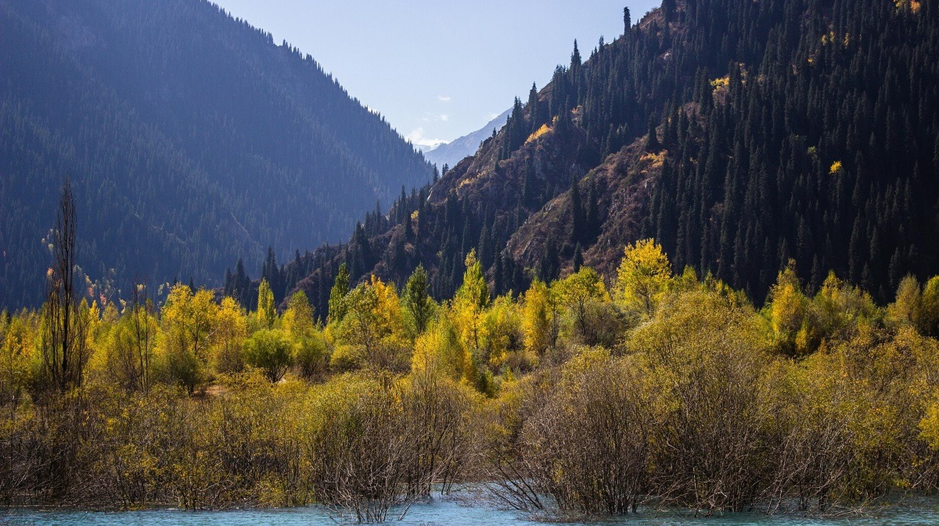 Rivière turquoise bordée d'arbres aux couleurs d'automne au pied de montagnes boisées