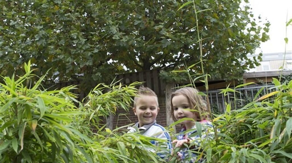 Deux enfants souriants émergeant d'un massif de bambous et d'arbustes