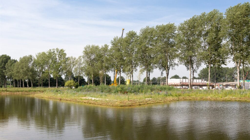 Plan d'eau bordé d'une berge végétalisée et d'un alignement de peupliers