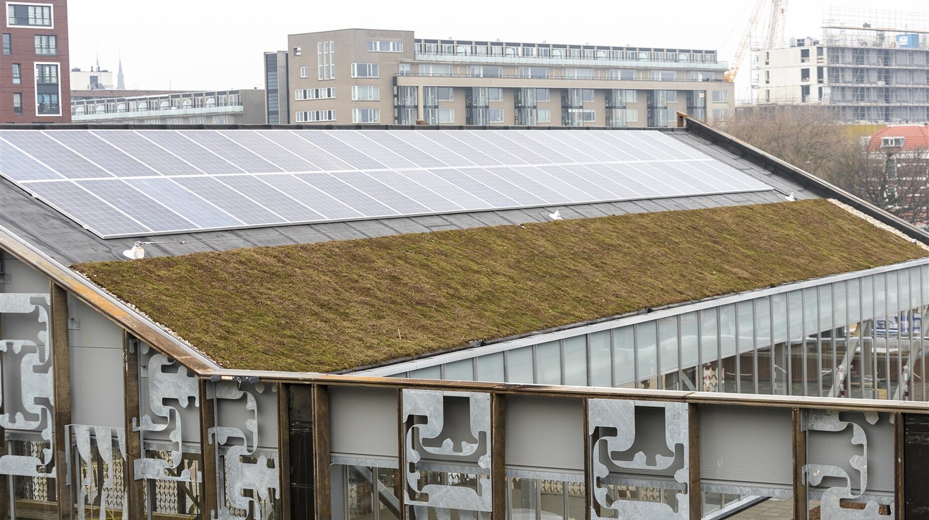 Toiture végétalisée et panneaux solaires sur un bâtiment urbain contemporain