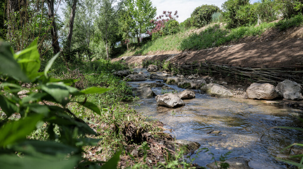 Cours d'eau renaturé aux berges consolidées par du génie végétal