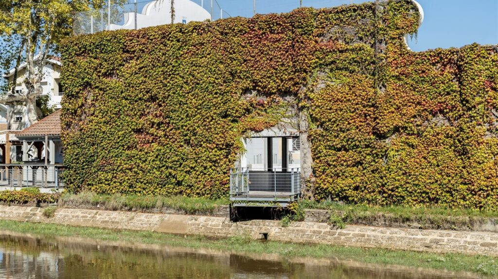 Façade entièrement couverte de végétation grimpante aux couleurs d'automne au bord de l'eau