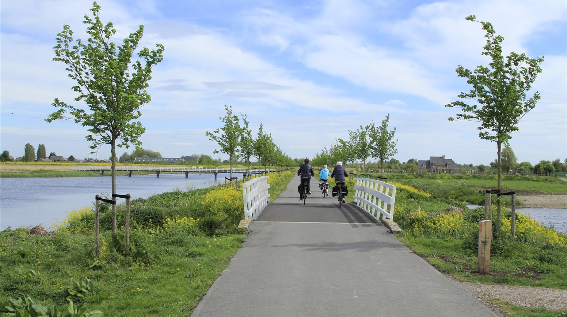Cyclistes sur un chemin bordé de jeunes arbres longeant un plan d'eau