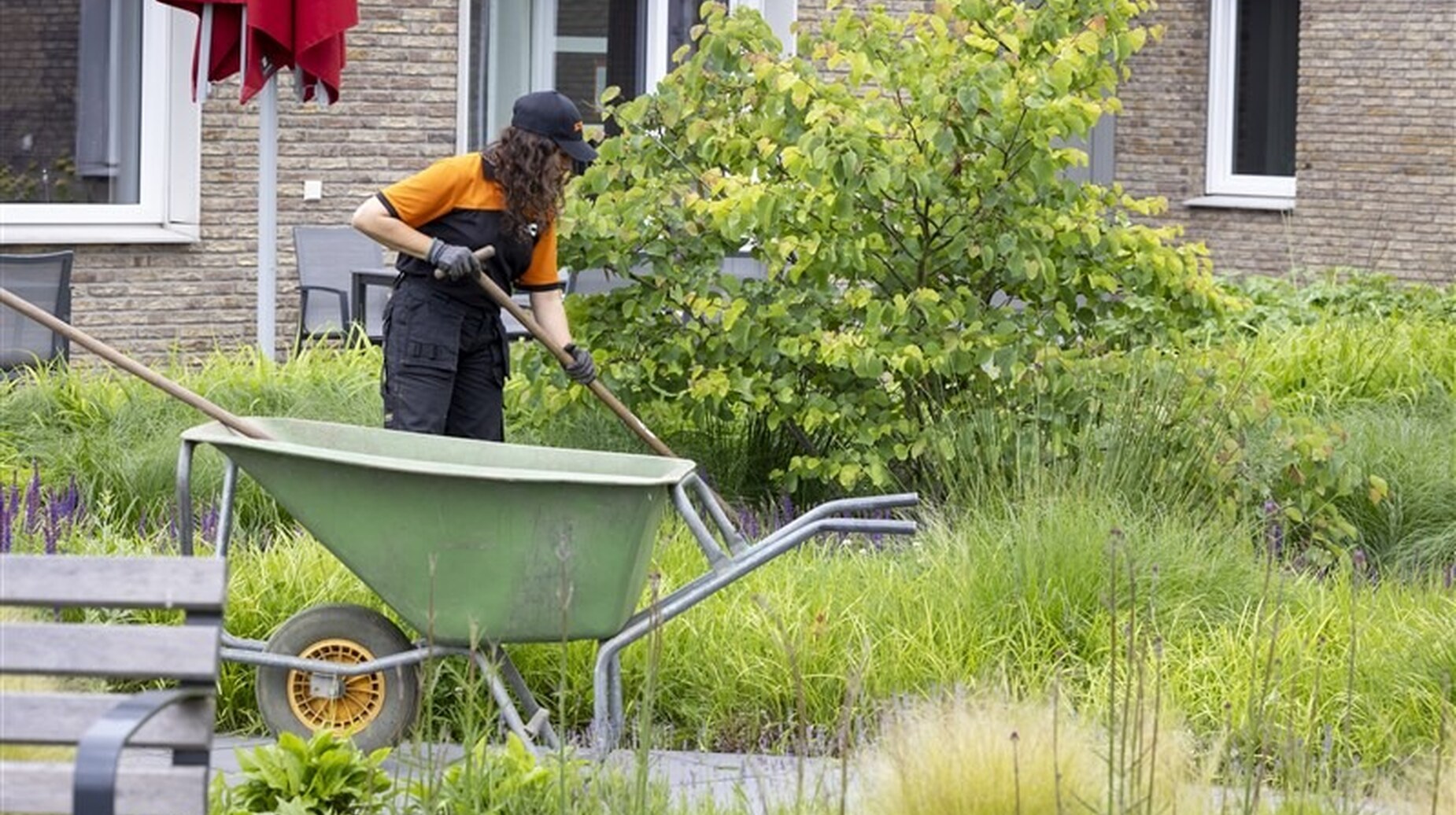 Jardinier ratissant un massif de vivaces au pied d'un immeuble