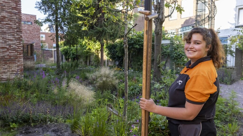 Paysagiste installant le tuteur d'un jeune arbre dans un jardin urbain