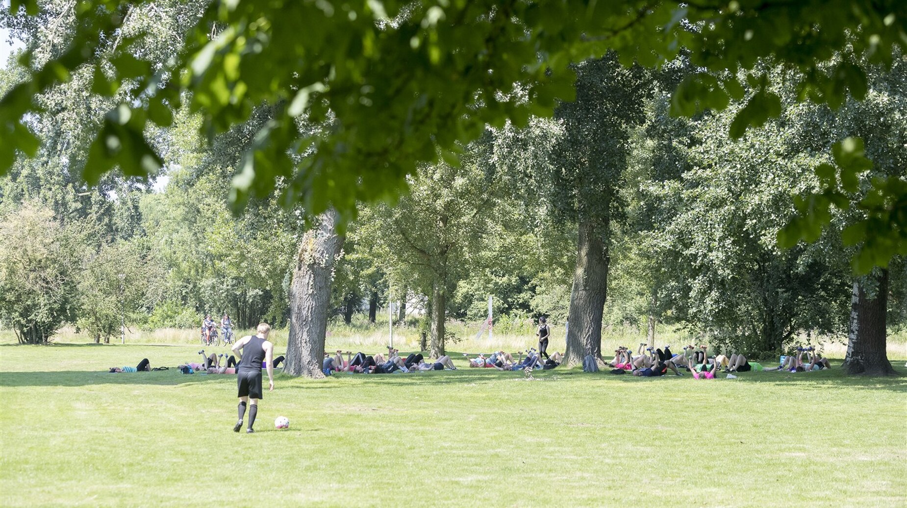 Groupe de personnes installées sur une pelouse à l'ombre de grands arbres