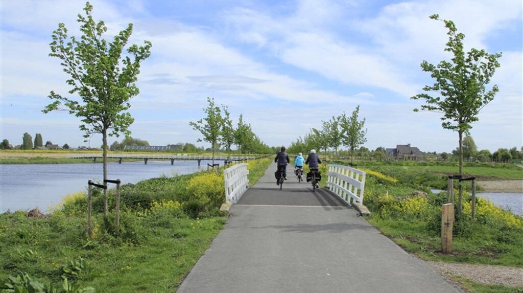 Cyclistes sur une piste cyclable bordée de jeunes arbres le long d'un plan d'eau