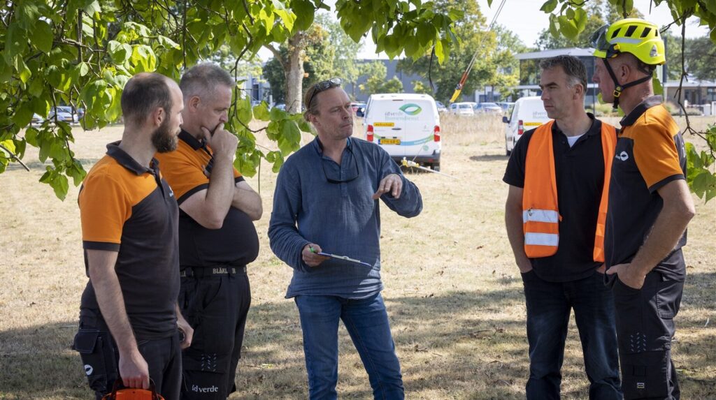 Équipe de paysagistes en tenue de travail réunie sous un arbre pour un point de chantier