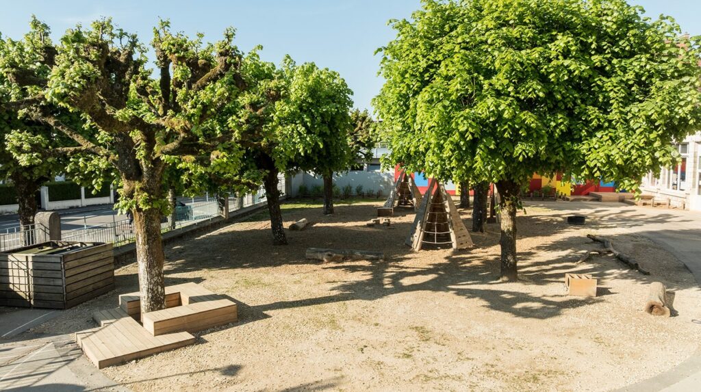 Cour d'école plantée d'arbres taillés en rideau sur un sol sableux