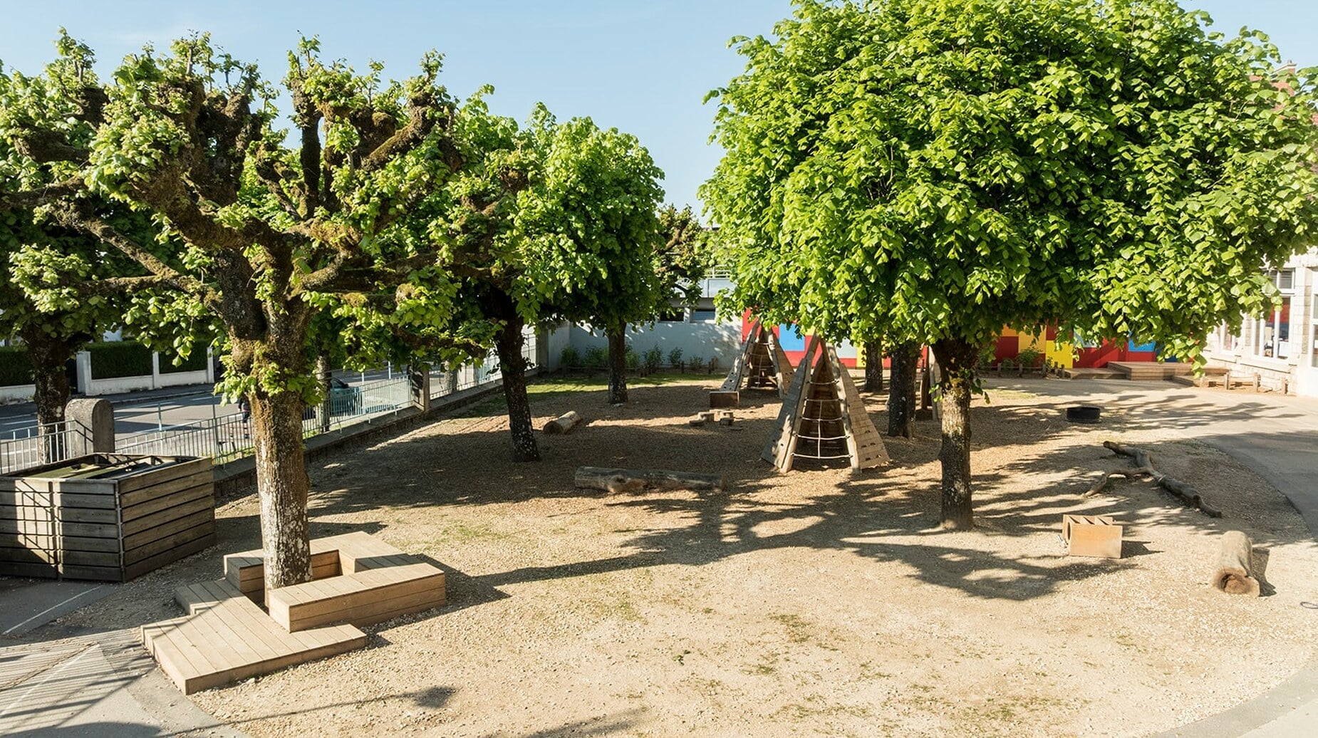 Cour d'école plantée d'arbres taillés en rideau sur un sol sableux