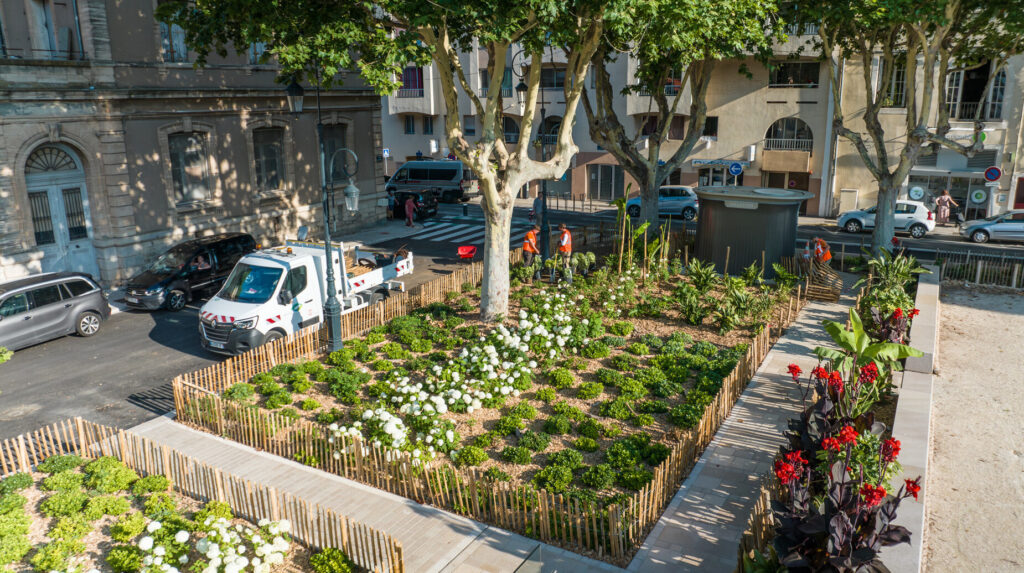 Massifs plantés ceinturés de ganivelles installés sur une place de centre-ville