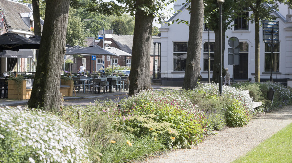 Massif fleuri le long d'une allée bordant une terrasse de café sous les arbres