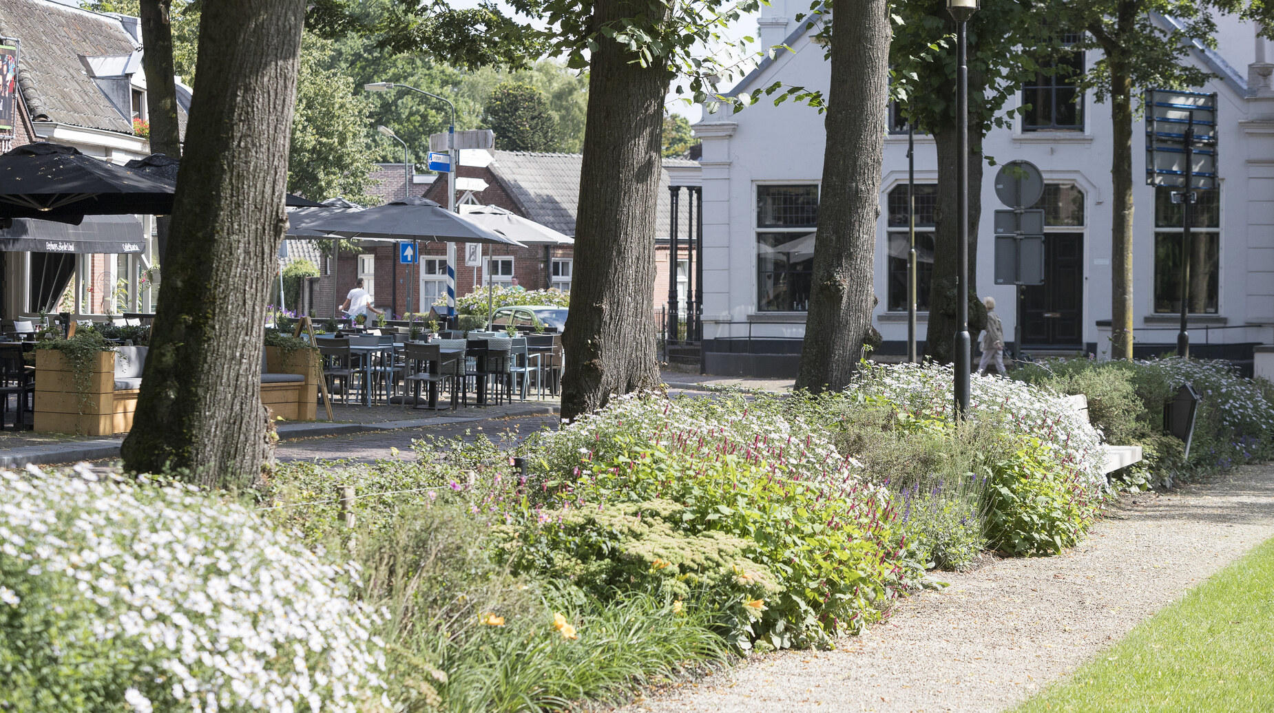 Massif fleuri le long d'une allée bordant une terrasse de café sous les arbres