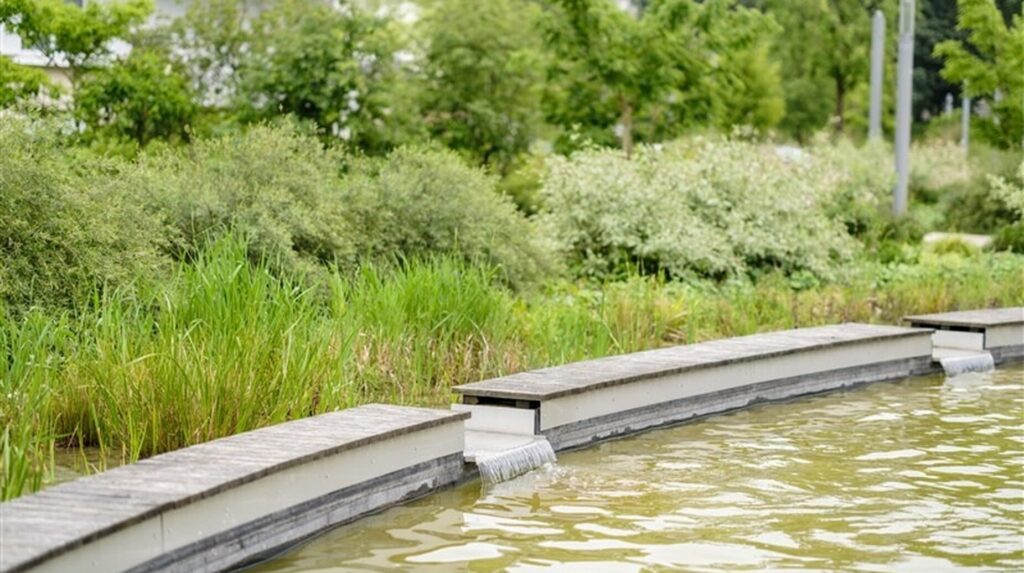 Bassin paysager aux margelles en pierre bordé de plantes de milieu humide
