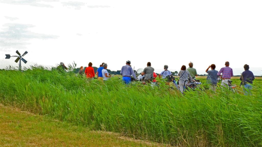Groupe de personnes rassemblées derrière une prairie haute en bord de voie