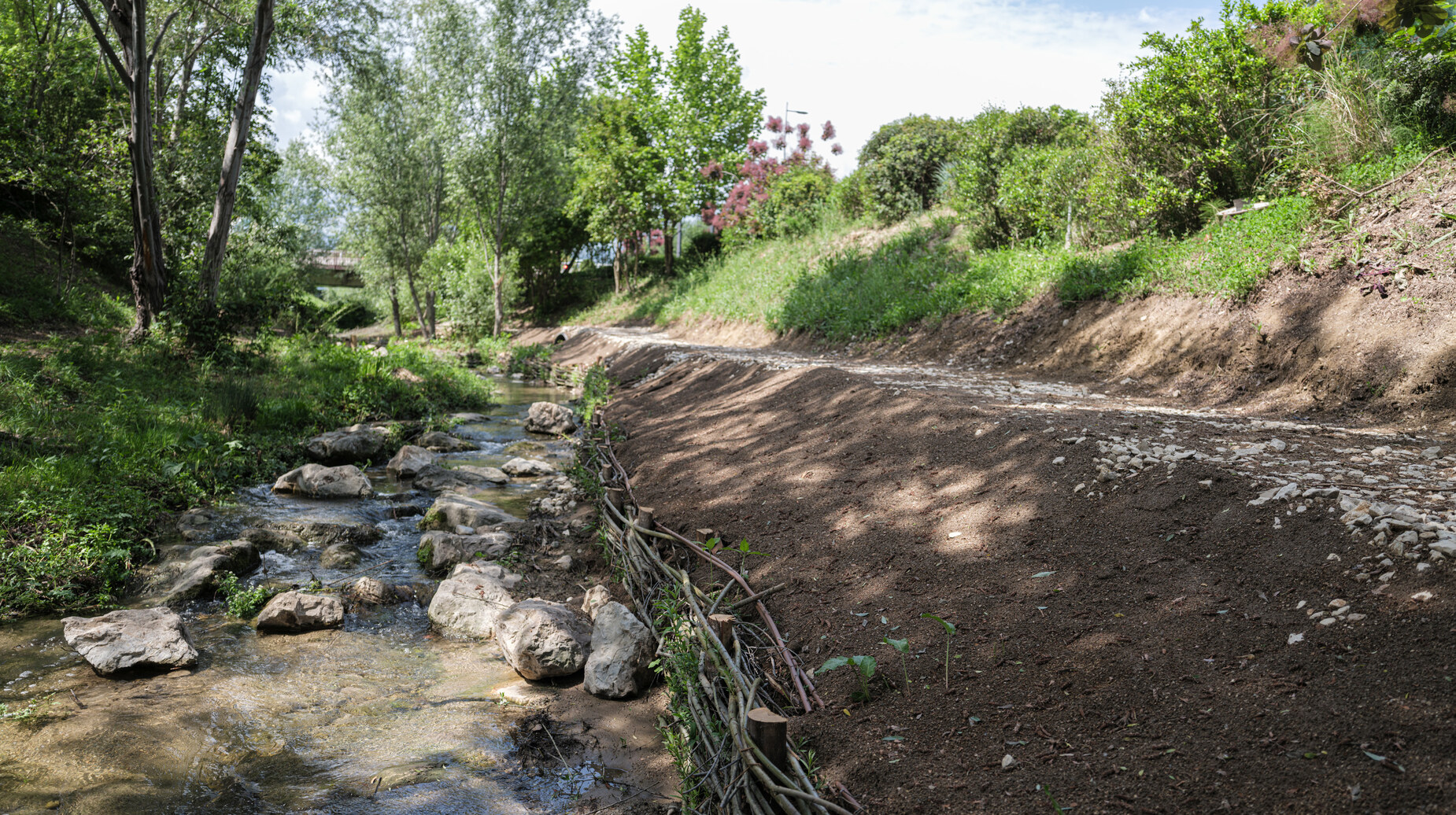 Berge de ruisseau reprofilée et stabilisée par des fascines végétales