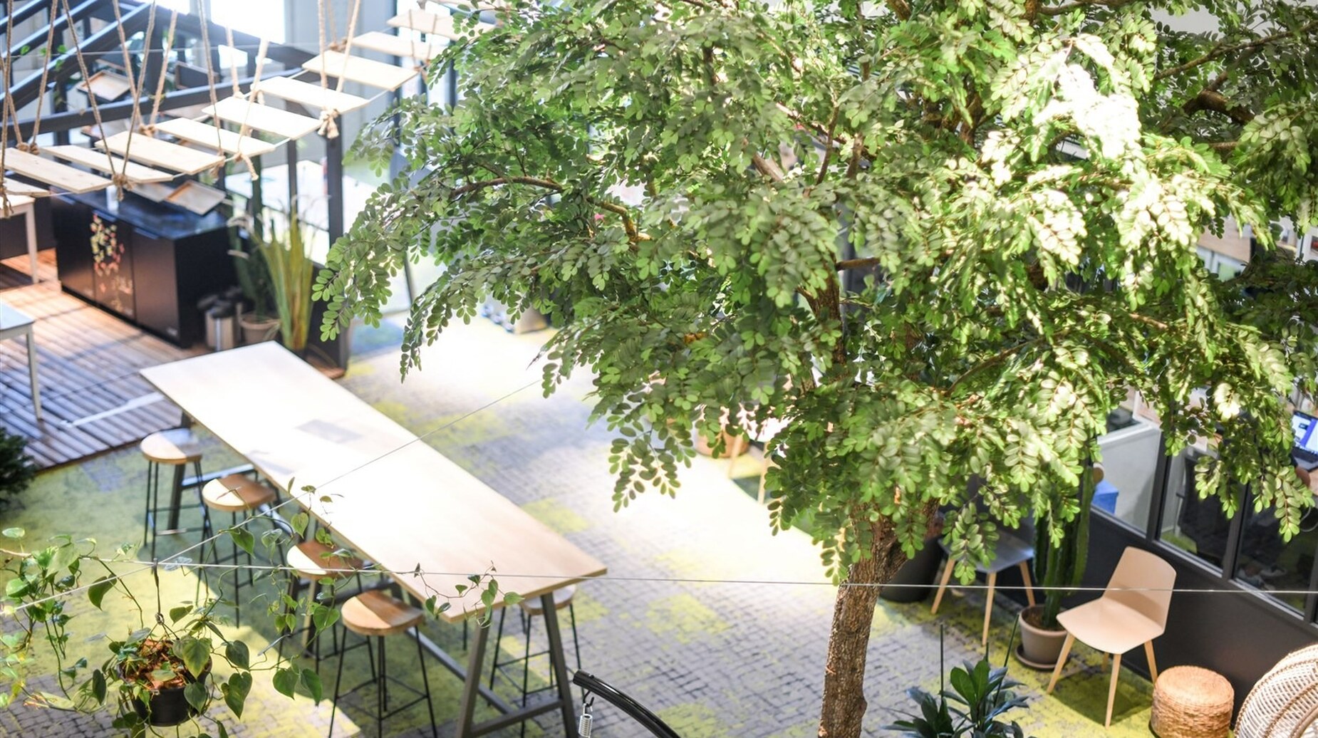 Terrasse de bureaux végétalisée avec grand arbre et mobilier convivial